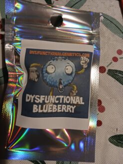 Dysfunctional blueberry