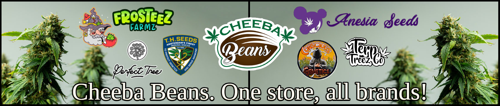 Cheeba Beans