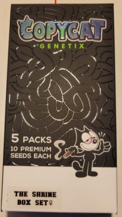 The Shrine Box Set ( 5 crosses of 10 Fems(1 S1, 4 R1))50 total FEMS
