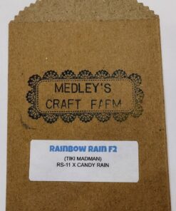 Rainbow Rain F2