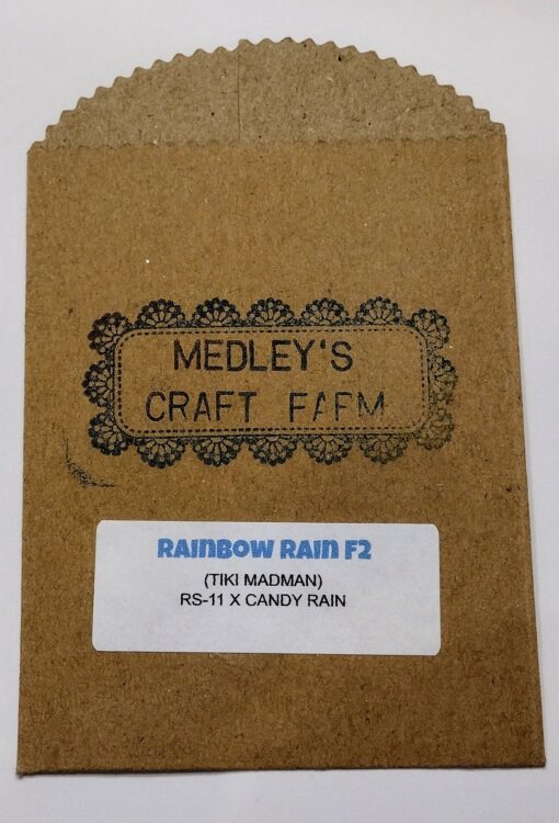 Rainbow Rain F2