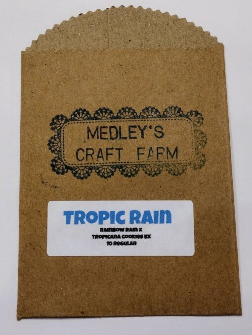 Tropic Rain
