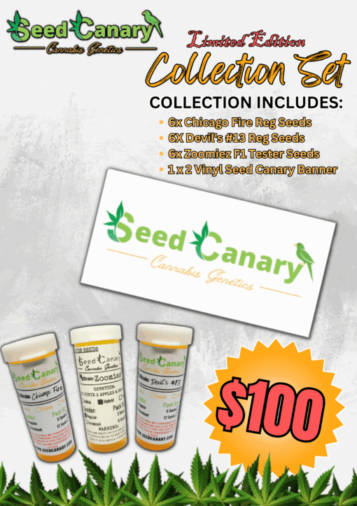 Seed Canary Genetics - Collection Set & Limited Edition Banner