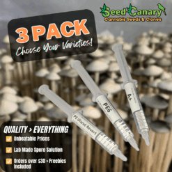 P.cubensis Spore Set- Mix & Match Pack (3x Syringes)