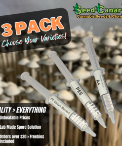 P.cubensis Spore Set- Mix & Match Pack (3x Syringes)