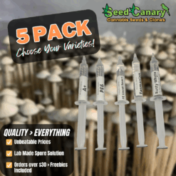 P.cubensis Spore Set- Mix & Match Pack (5x Syringes)