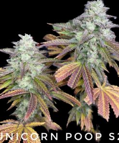 Unicorn Poop S2 (10-Seeds) Fem Photo