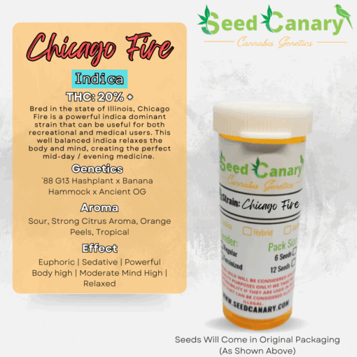 Chicago Fire - 6x Regular seeds + Freebies