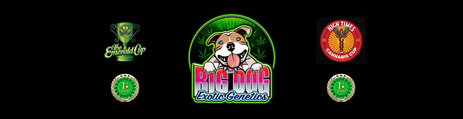 Big Dog Exotic Cannabis Genetics