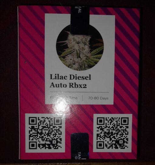 ETHOS - Lilac diesel Auto/Fem RBx2 3ct - Image 2
