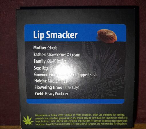 Exotic genetix - Lip Smacker 10ct - Image 2
