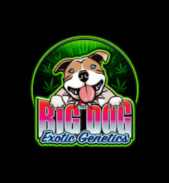 Big Dog Exotic Cannabis Seeds