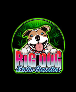 Big Dog Exotic Cannabis Seeds