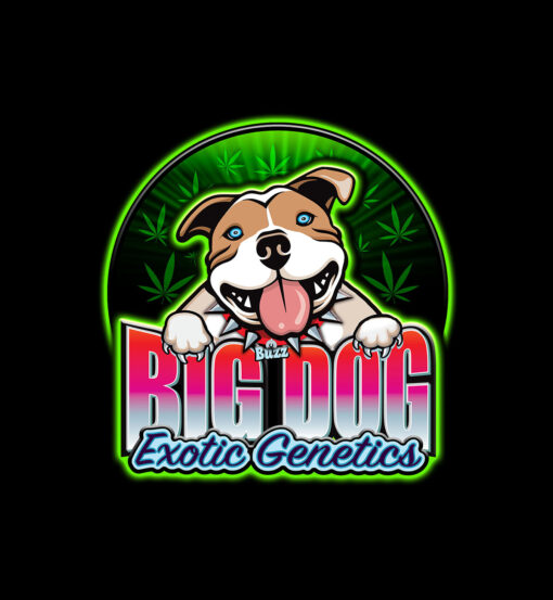 Big Dog Exotic Cannabis Seeds