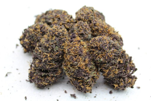 Yours Truly (fem) | Annunaki Genetics - Image 5