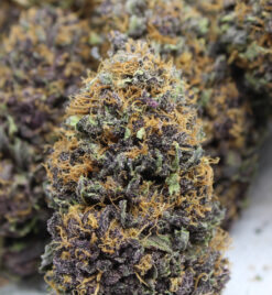 Deep Impact cannabis buds