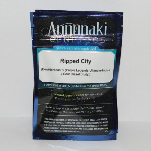 Ripped City | Annunaki Genetics - Image 9