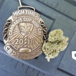 Sour Cyclone award winning CBD