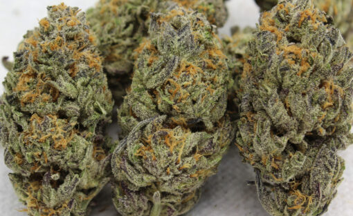 Sundae Driver rooted clone - Image 5