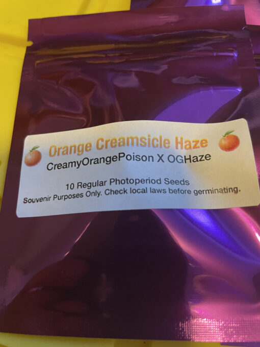 ? Orange Creamsicle Haze ? - Image 2