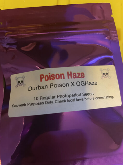 ☠️ Poison Haze ☠️ - Image 2
