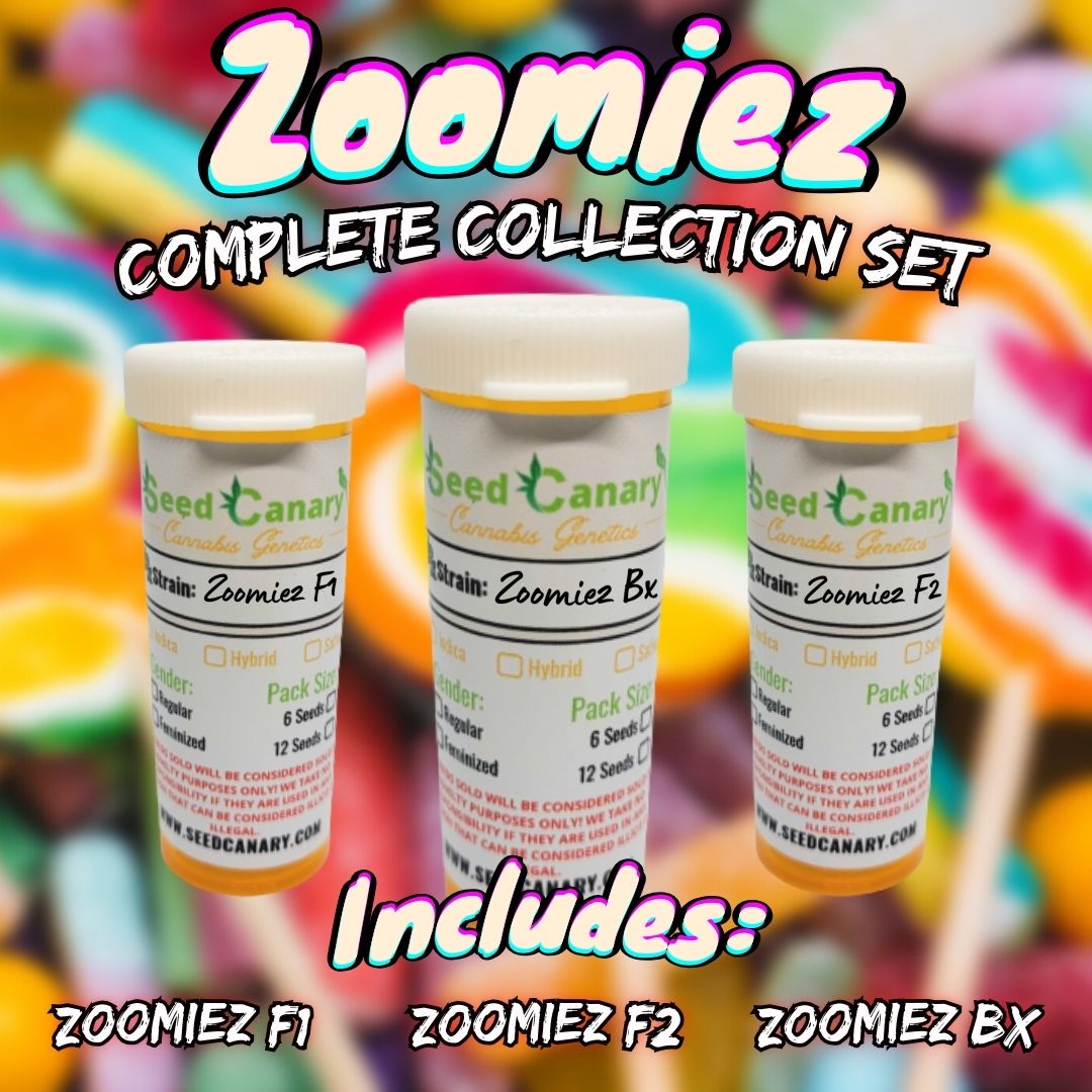 Zoomiez - Collection Set