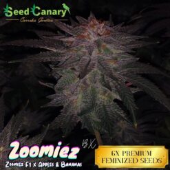 Zoomiez BX - 6x Feminized Seeds