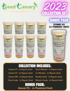 Seed Canary Genetics - 2023 Collection Set