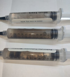 Malabar coast fungus spores