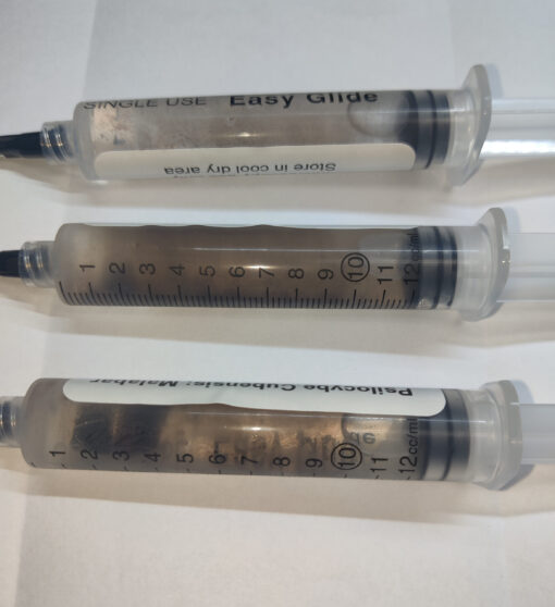 Malabar coast fungus spores