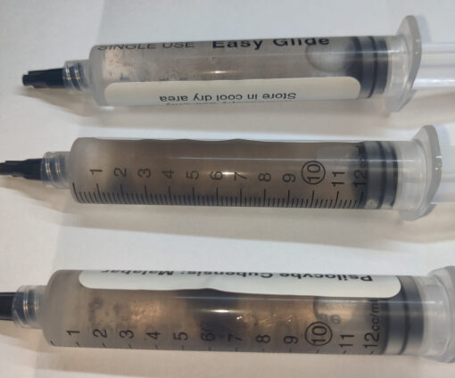 Fungi Spores Malabar
