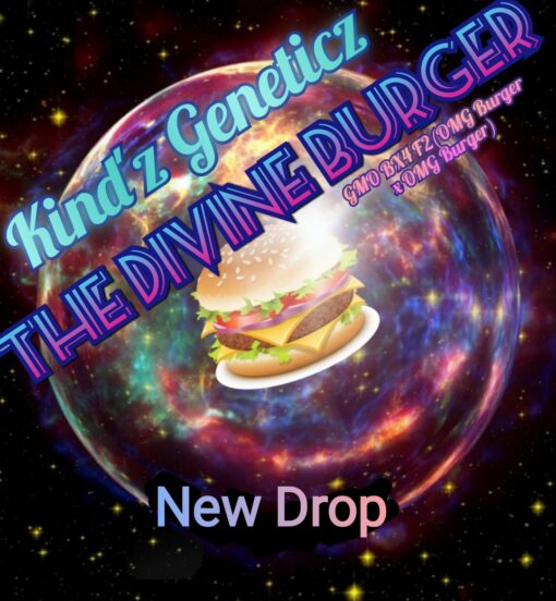 The Divine Burger(GMO BX4 F2)