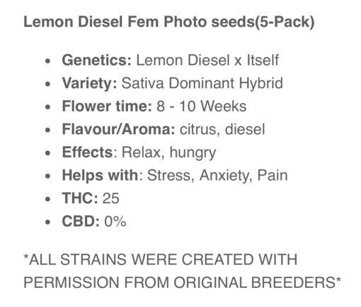 Lemon Diesel (10-Seeds) Fem Photo - Image 2
