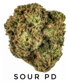 Sour PD Fem (10-Seeds) Fem Auto