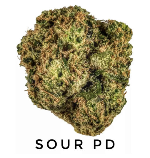 Sour PD Fem (10-Seeds) Fem Auto