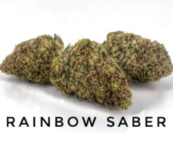 Rainbow Sabre (10-Seeds) Fem Auto