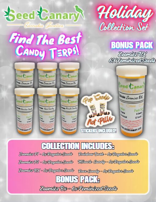 Seed Canary Genetics - Holiday Collection Set (Limited Edition)