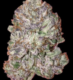 Pre 98 Bubba Kush (10-Seeds) Fem Photo
