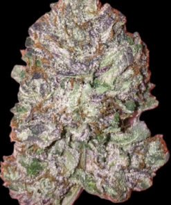 Pre 98 Bubba Kush (10-Seeds) Fem Photo