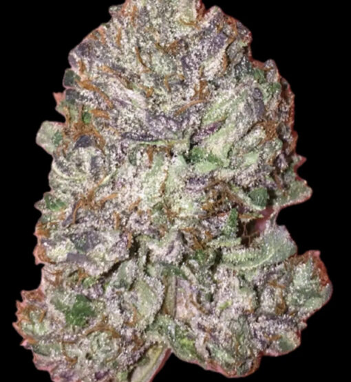 Pre 98 Bubba Kush (10-Seeds) Fem Photo