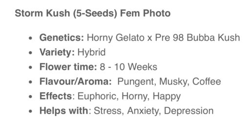 Storm Kush (10-Seeds) FEM Photo - Image 2