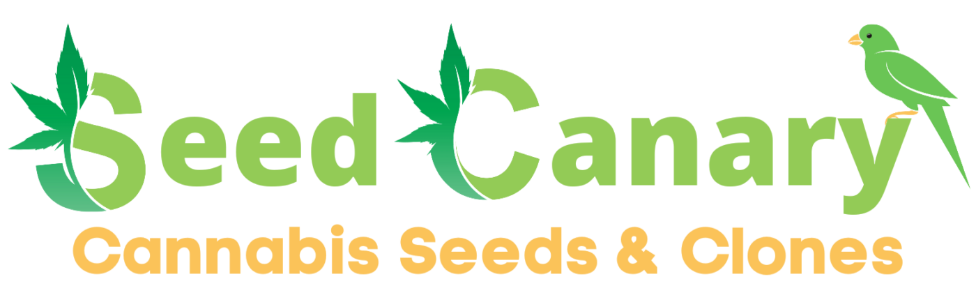 Seed Canary