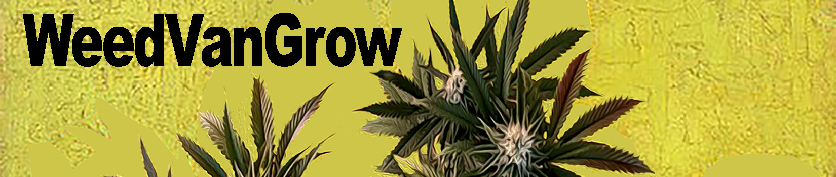 Weed van Grow