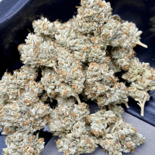 1911 = Seed Junky’s 91 Chem x Animal Cookies BX2 X CEMENTSHOES OGKB cut - Image 4