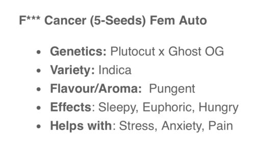 F*** Cancer (Fem Auto) 10-seeds - Image 2