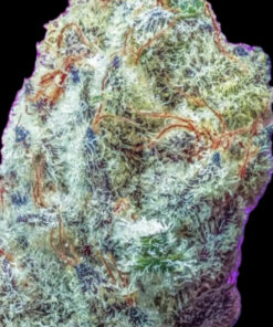 Bubba Licious (Fem Photo) 10-Seeds