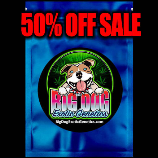 ? All Packs Are 50% Off Below ?