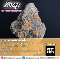 Zoap - (Deo Farms Cut) Rooted Clone
