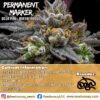 Permanent Marker - (Doja Pak Cut) Rooted Clone