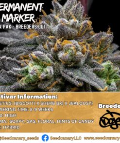 Permanent Marker - (Doja Pak Cut) Rooted Clone